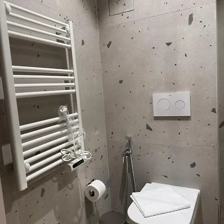 Luxury Brand New Md 2 In Center Apartment *